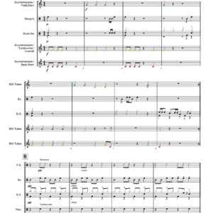 BOOMWHACKERS ON THE RUN