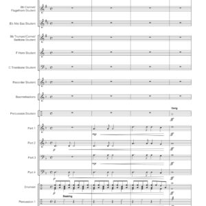 BORN TO BE A MUSICIAN