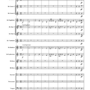 DANSE MACABRE - C. SAINT-SAËNS (bra-set)