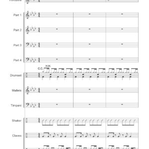 SPIRIT OF THE VUVUZELA