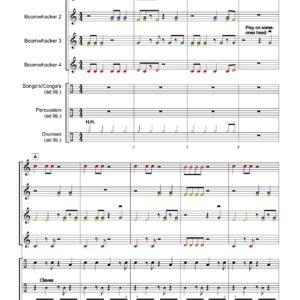 THE CRAZY BOOMWHACKER