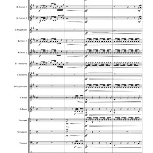 THE OLYMPIC HERO (bra-set)