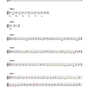 THE STORY OF BOOMWHACKER TI