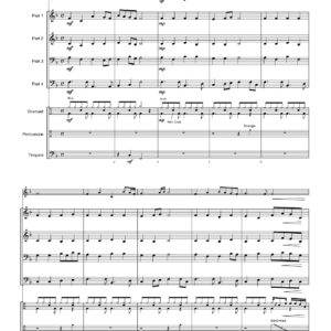 THE YOUNG SOLOIST( solowerk)