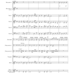 TOM STONE IN CONCERT (blokfluit)