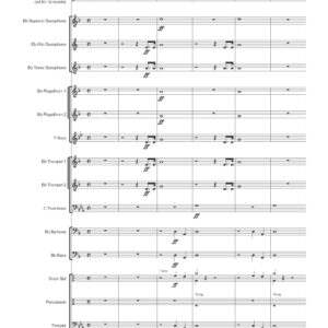 VIKING VICTORY (fa-set)