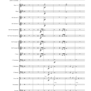 VIKING VICTORY (ha-set)