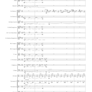 VOLCANO ERUPTION (ha-set)