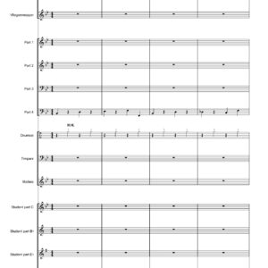 DE VLIEG (duet voor kazoo en vliegenmepper)